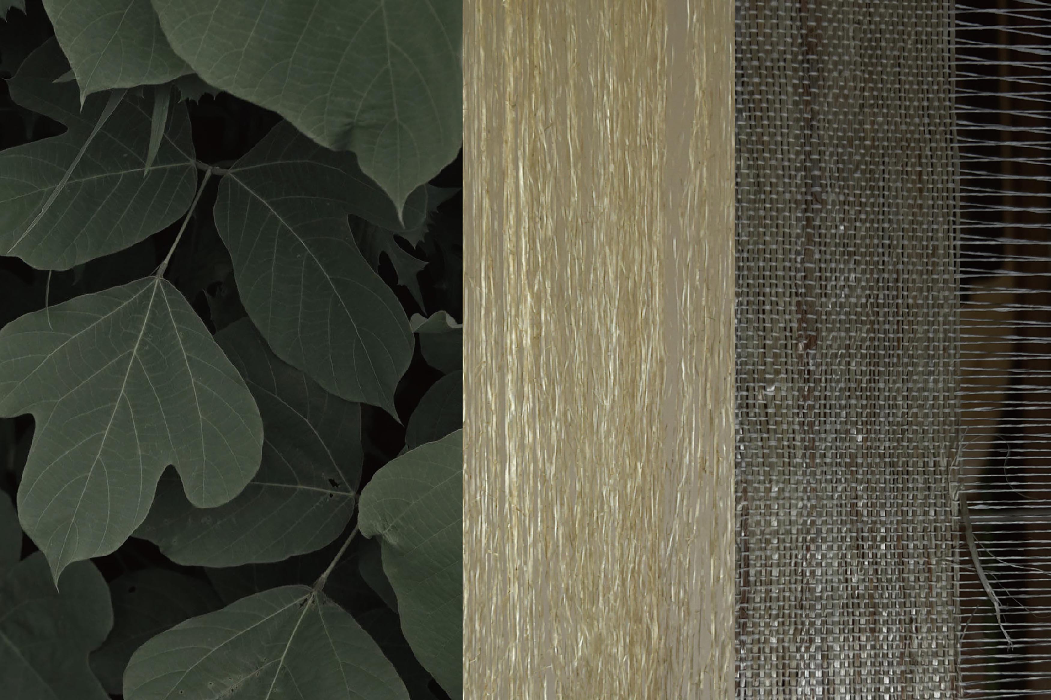 【企画展】烏山 結貴_植物と人々の暮らしを紡ぐ